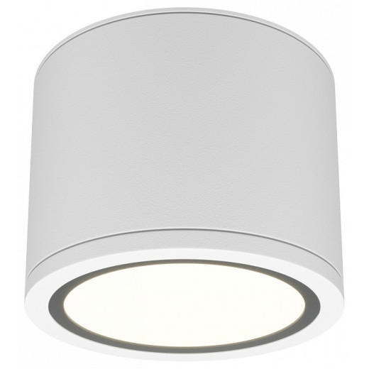 Накладной светильник Maytoni Rendo C095CL-GX53-W