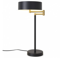 Настольная лампа декоративная Freya Izza FR4008TL-02BBS