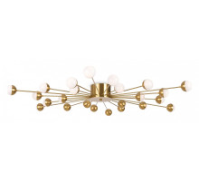 Потолочная люстра Freya Celebrity FR5242CL-24BS