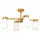 Люстра на штанге Freya Kamelia FR5446PL-04BS1