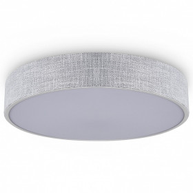 Накладной светильник Freya Ruler FR5555CL-L30BGG