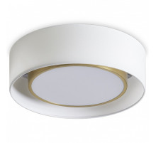 Накладной светильник Freya Cozy FR6170CL-L52BS