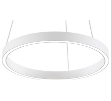 Подвесной светильник Maytoni Rim MOD058PL-L22WK