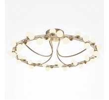 Потолочная люстра Maytoni Tessara MOD081CL-L48G3K