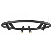 Подвесная люстра Maytoni Halo MOD102PL-L42BK