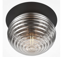 Накладной светильник Maytoni Reels MOD268CL-01B