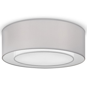 Накладной светильник Maytoni Bergamo MOD617CL-04GR