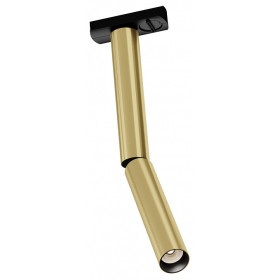 Светильник на штанге Maytoni Focus T TR142-1-6W4K-BS