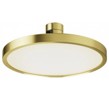 Накладной светильник Maytoni Plato TR153-1-10W4K-BS