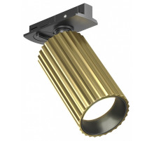 Светильник на штанге Maytoni Calipso TR218-1-GU10-BS