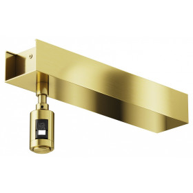 Основание на штанге Maytoni Accessories for tracks Flarity TRA156C-BB1-BS