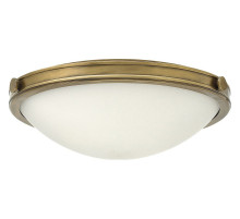 Накладной светильник Hinkley Collier HK-COLLIER-F-M