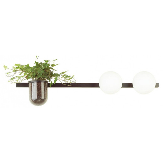 Бра Odeon Light Flower 4681/2W