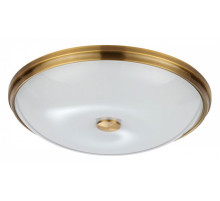Накладной светильник Odeon Light Pelow 4956/5