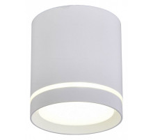 Накладной светильник Omnilux Capurso OML-102409-05