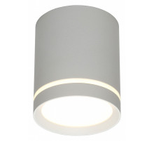 Накладной светильник Omnilux Capurso OML-102429-05