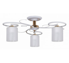 Люстра на штанге 00738-0.3-03