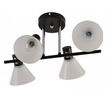 Люстра на штанге 01553-3.3-04B BK+CR