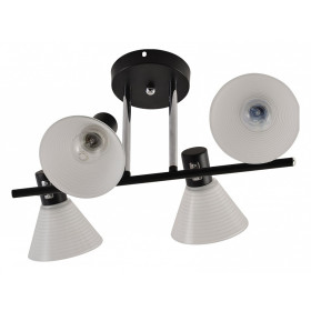 Люстра на штанге 01553-3.3-04B BK+CR