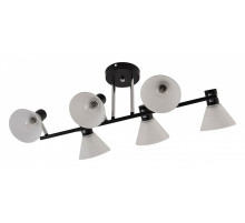 Люстра на штанге 01553-3.3-06B BK+CR