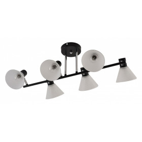 Люстра на штанге 01553-3.3-06B BK+CR