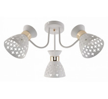 Потолочная люстра 01579-3.3-03 WH+FGD