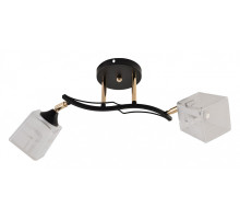 Светильник на штанге 01594-3.3-02B BK+FGD