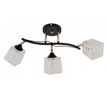 Люстра на штанге 01594-3.3-03B BK+FGD