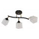 Люстра на штанге 01594-3.3-03B BK+FGD