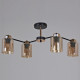 Люстра на штанге 01606-0.3-04 BK+FGD