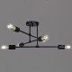 Потолочная люстра 01648-0.3-06 BK