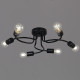 Потолочная люстра 01742-0.3-06 BK