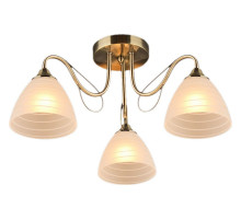 Потолочная люстра 03078-0.3-03