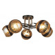 Потолочная люстра 03619-0.3-05