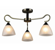 Люстра на штанге 03751-0.3-03