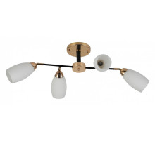 Люстра на штанге 07086-0.3-04