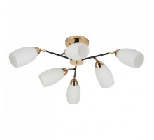 Потолочная люстра 07086-0.3-06