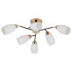 Потолочная люстра 07086-0.3-06