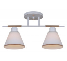 Светильник на штанге 07594-0.3-02 WG