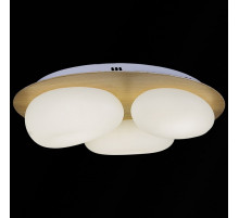 Потолочная люстра 10009-0.3-60W AEROLITE