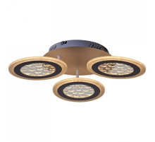 Потолочная люстра 20491-0.3-03 WT