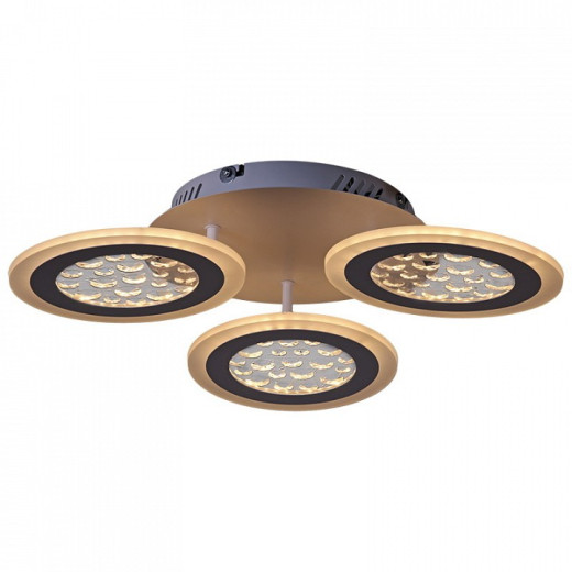 Потолочная люстра 20491-0.3-03 WT