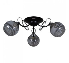 Потолочная люстра 22115-0.3-03 BK+CH