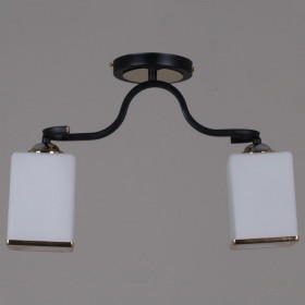 Светильник на штанге 32303-0.3-02