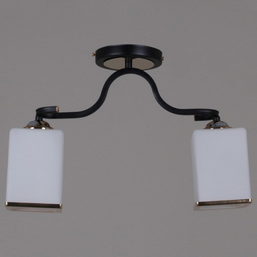 Светильник на штанге 32303-0.3-02