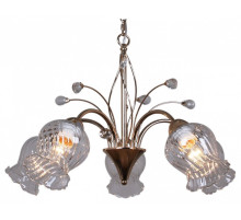 Подвесная люстра 50028-0.4-05 FGD