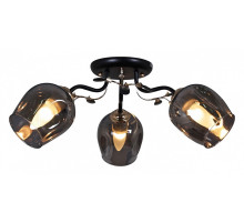 Потолочная люстра 81720-0.3-03