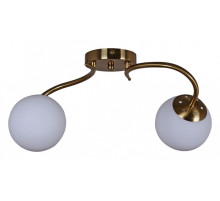 Светильник на штанге 81724-0.3-02