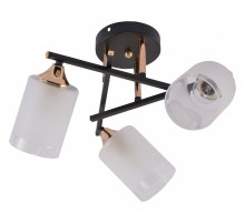 Люстра на штанге Rivoli Fiona Б0059259