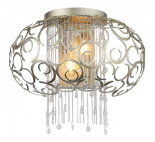 Накладной светильник ST-Luce Dolcima SL1101.201.02